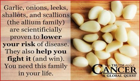 Onions, garlic cut prostate cancer risk